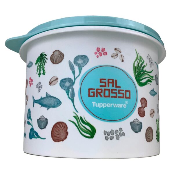 Tupperware Caixa Sal Grosso Floral 1 kg - Image 2