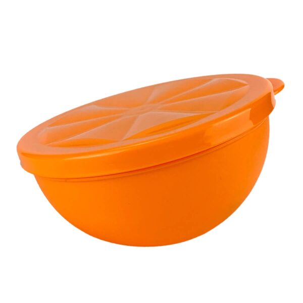 Tupperware Porta Laranja 300ml