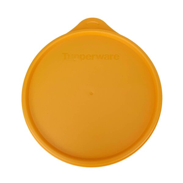 Tupperware Caixa Farofa Floral 500g - Image 4