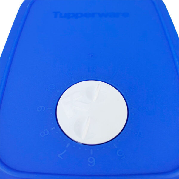 Tupperware Freezertime 1,1 Litro Transparente Tampa Azul - Image 3