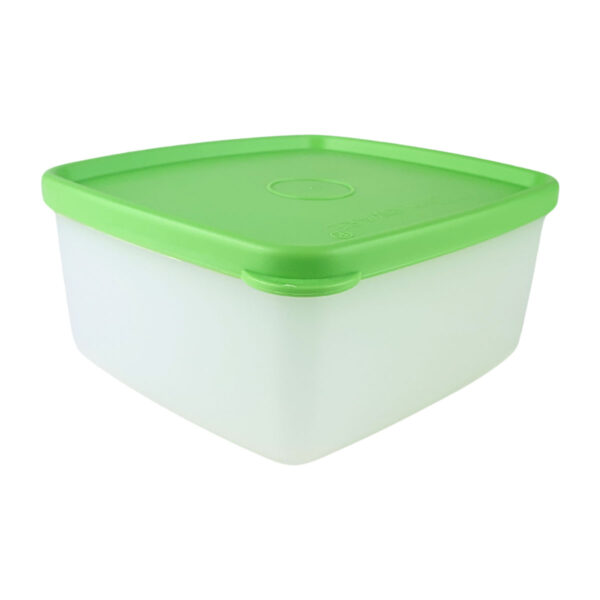 Tupperware Jeitosinho 400ml Transparente e Verde