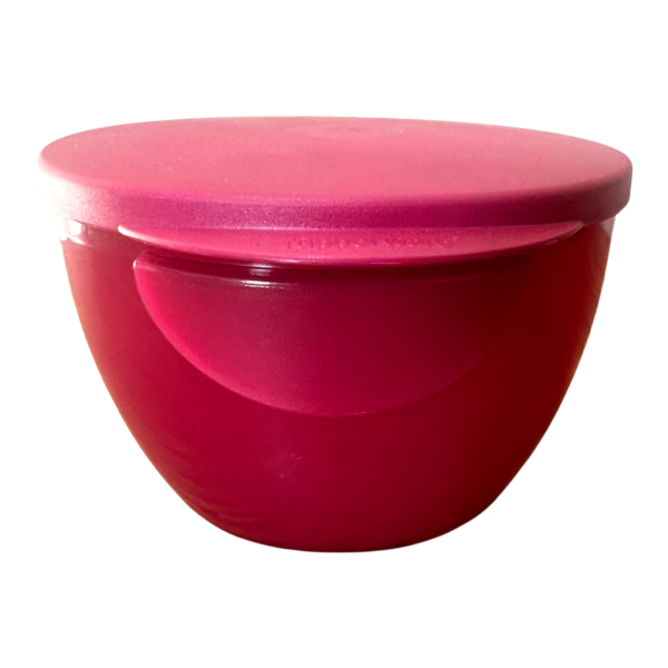 Tupperware Tigela para Dip Floresta Roxa 470ml - Image 2