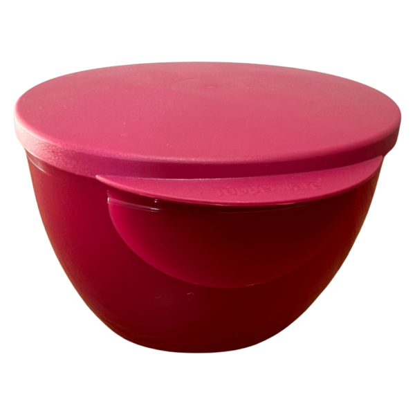 Tupperware Tigela para Dip Floresta Roxa 470ml - Image 4